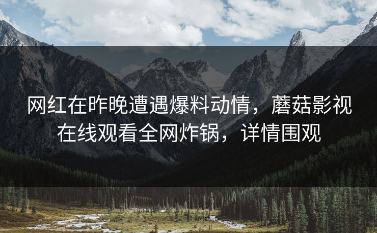 网红在昨晚遭遇爆料动情，蘑菇影视在线观看全网炸锅，详情围观